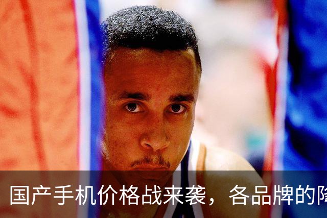 国产手机价格战来袭，各品牌的降价力度空前