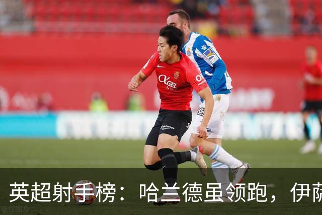 英超射手榜：哈兰德虽领跑，伊萨克与谢尔基不容小觑